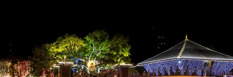 Wesak-1