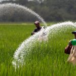 Fertilizer